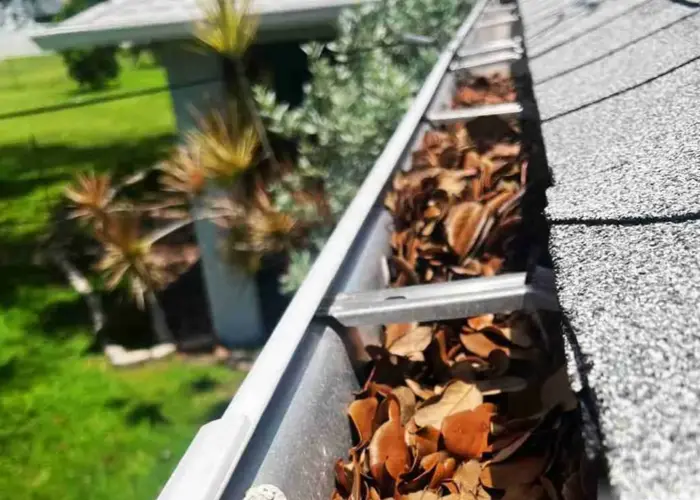 Gutter Cleaning Newport KY home page